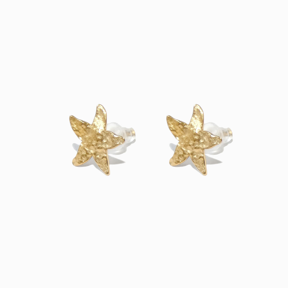 BRINCOS ESTRELA-DO-MAR